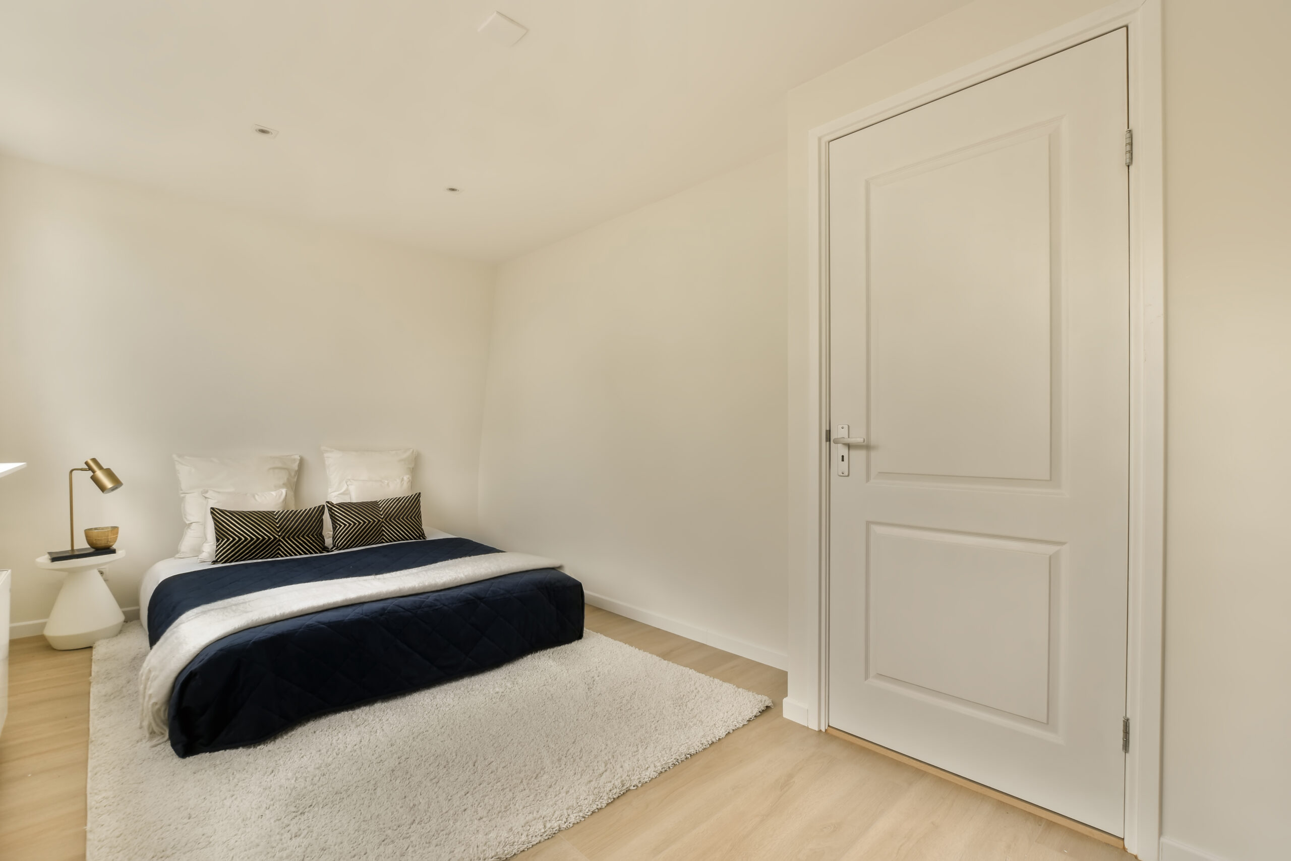 a bedroom with a bed and a large white door