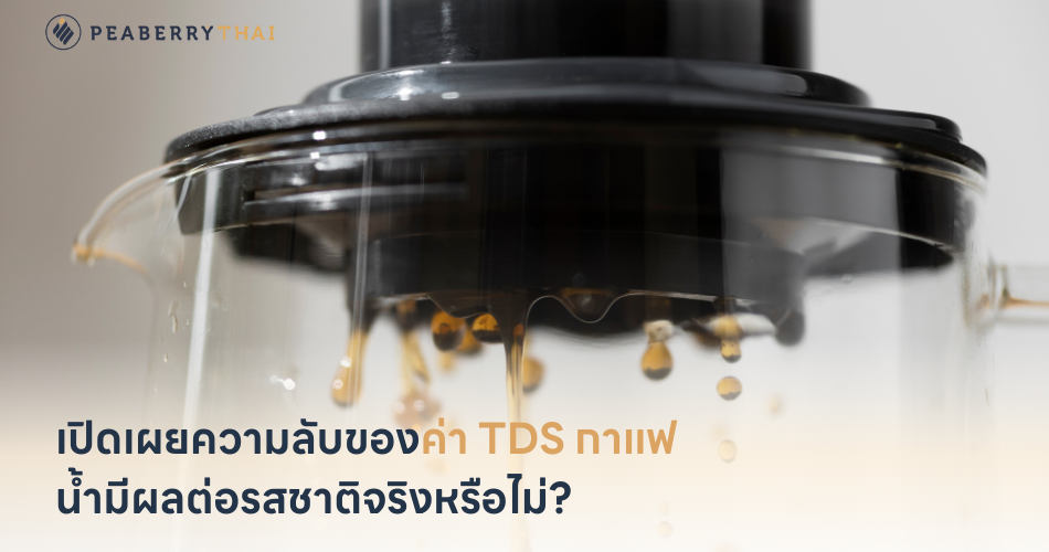 เปิดเผยความลับของค่า TDS กาแฟ น้ำมีผลต่อรสชาติจริงหรือไม่