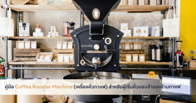 คู่มือ Coffee Roaster Machine (เครื่องคั่วกาแฟ) สำหรับผู้เริ่มคั่วและเจ้าของร้านกาแฟ