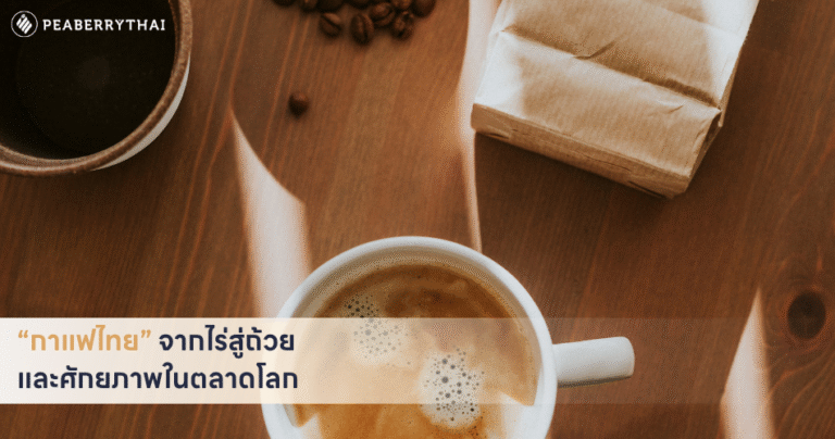 “กาแฟไทย” จากไร่สู่ถ้วย และศักยภาพในตลาดโลก