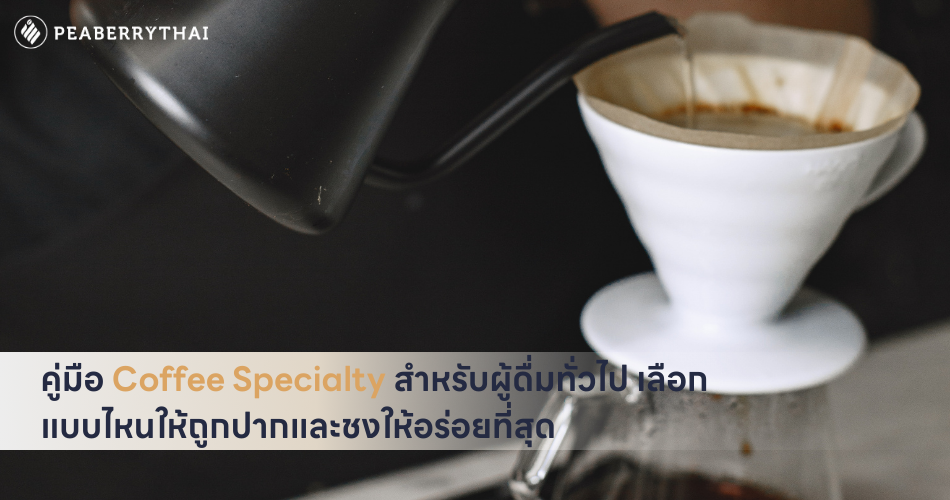 คู่มือ Coffee Specialty สำหรับผู้ดื่มทั่วไป เลือกแบบไหนให้ถูกปากและชงให้อร่อยที่สุด