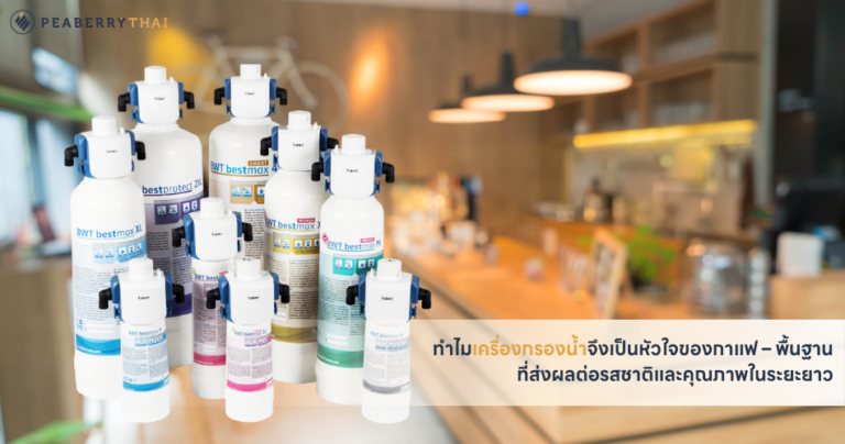 ทำไมเครื่องกรองน้ำจึงเป็นหัวใจของกาแฟ – พื้นฐานที่ส่งผลต่อรสชาติและคุณภาพในระยะยาว