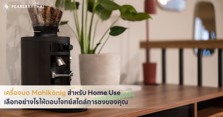 เครื่องบด Mahlkönig สำหรับ Home Use เลือกอย่างไรให้ตอบโจทย์สไตล์การชงของคุณ