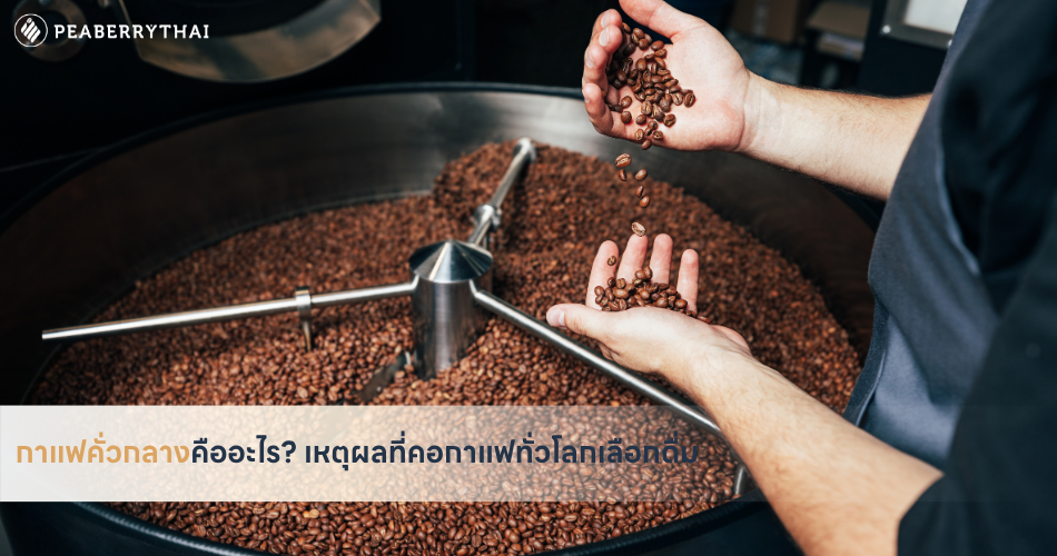 กาแฟคั่วกลางคืออะไร เหตุผลที่คอกาแฟทั่วโลกเลือกดื่ม