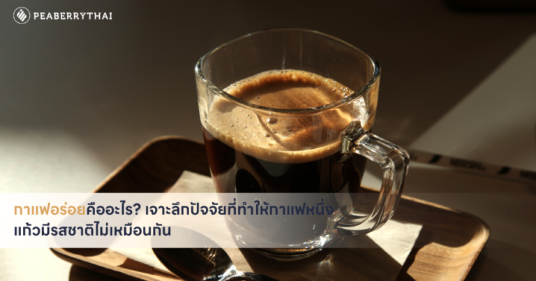 กาแฟอร่อยคืออะไร เจาะลึกปัจจัยที่ทำให้กาแฟหนึ่งแก้วมีรสชาติไม่เหมือนกัน