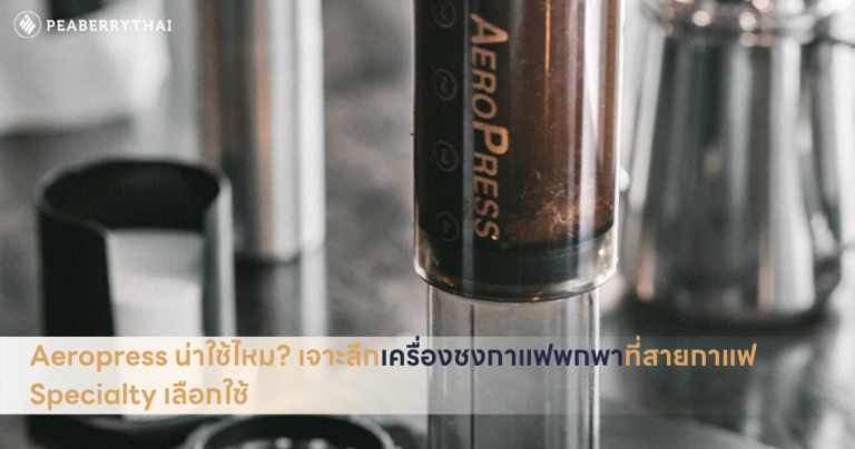 Aeropress น่าใช้ไหม? เจาะลึกเครื่องชงกาแฟพกพาที่สายกาแฟ Specialty เลือกใช้