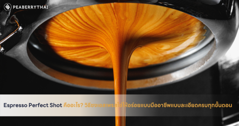 Espresso Perfect Shot คืออะไร_ วิธีชงเอสเพรสโซ่ให้อร่อยแบบมืออาชีพแบบละเอียดครบทุกขั้นตอน