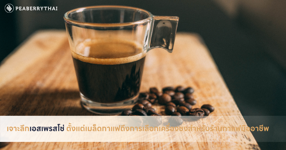 จากเมล็ดสู่ช็อตกาแฟ กับทุกเรื่องสำคัญของเอสเพรสโซ่ที่ควรรู้ก่อนเปิดร้านกาแฟ
