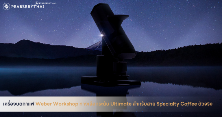 เครื่องบดกาแฟ Weber Workshop ทางเลือกระดับ Ultimate สำหรับสาย Specialty Coffee ตัวจริง
