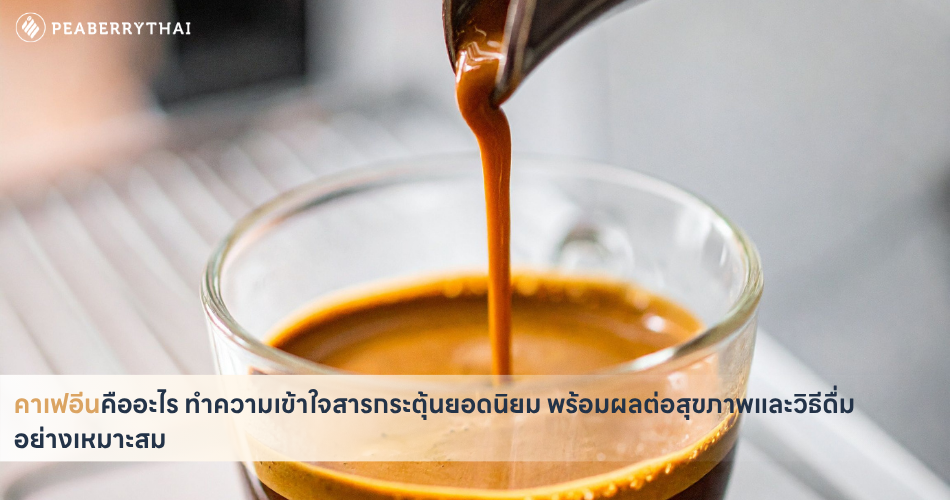 คาเฟอีนคืออะไร ทำความเข้าใจสารกระตุ้นยอดนิยม พร้อมผลต่อสุขภาพและวิธีดื่มอย่างเหมาะสม
